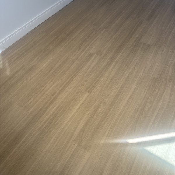 925287F8-7EE5-4206-B967-B5705922639F